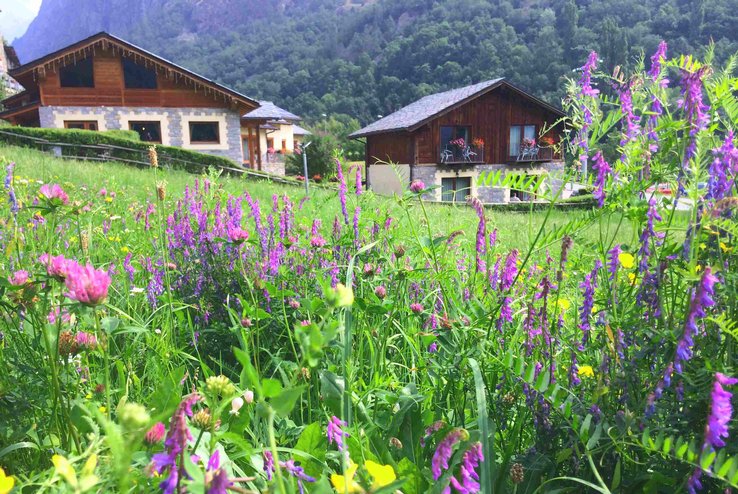 Mille Fiori di montagna - SPA Village Paradis